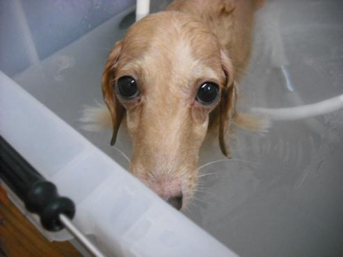 ファイル 1819-3.jpg