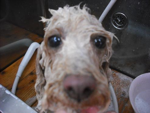 ファイル 182-2.jpg