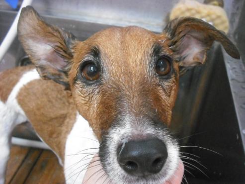 ファイル 1820-2.jpg