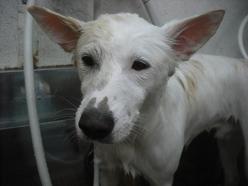 ファイル 1821-2.jpg