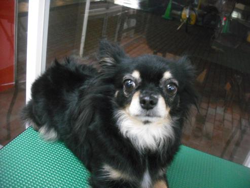 ファイル 1822-1.jpg