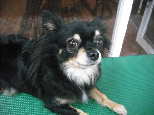 ファイル 1822-2.jpg