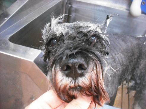 ファイル 1825-2.jpg