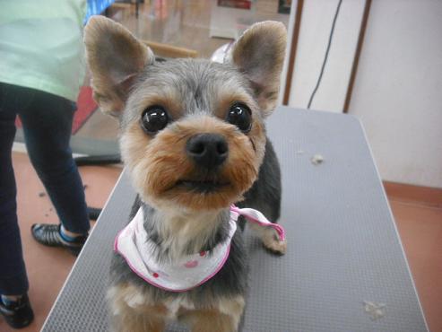 ファイル 1828-1.jpg