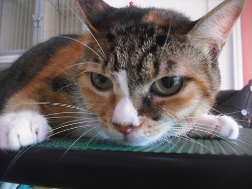 ファイル 1829-3.jpg