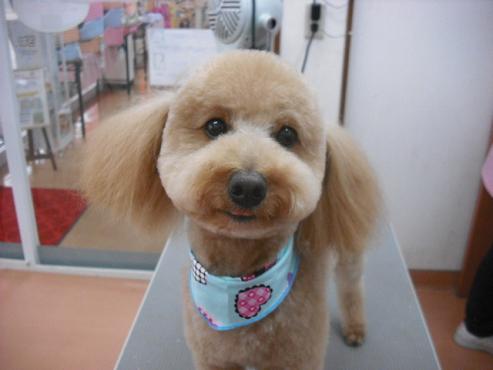 ファイル 183-1.jpg