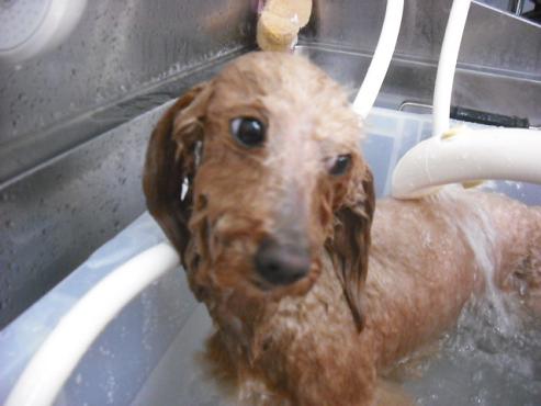 ファイル 183-2.jpg