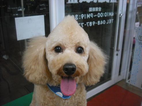 ファイル 1831-1.jpg