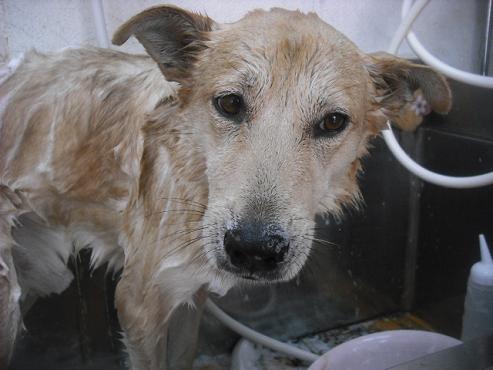 ファイル 1832-2.jpg