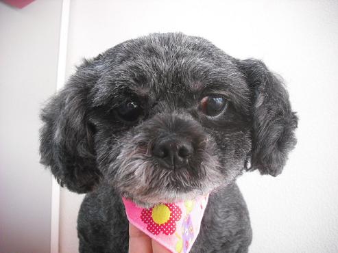 ファイル 184-1.jpg