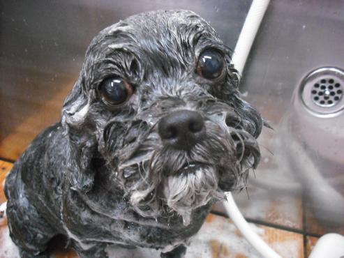 ファイル 184-2.jpg