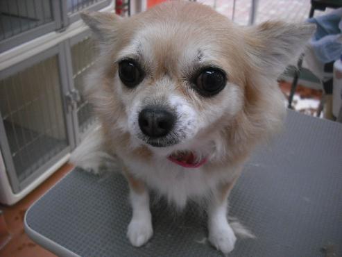 ファイル 1840-1.jpg