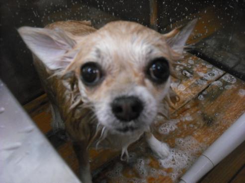 ファイル 1840-2.jpg