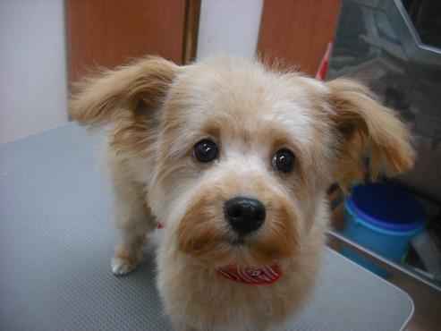 ファイル 1841-1.jpg