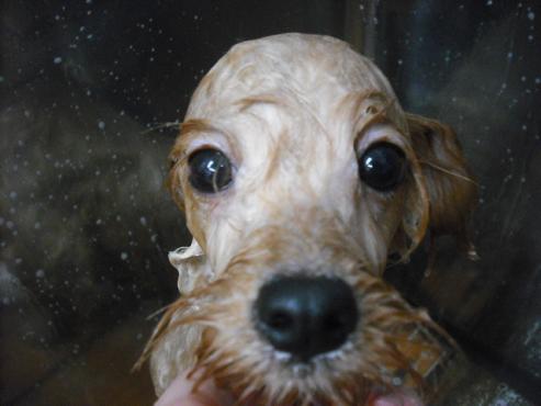 ファイル 1841-2.jpg