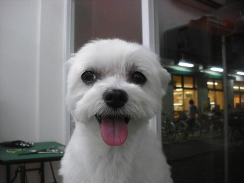 ファイル 1842-2.jpg