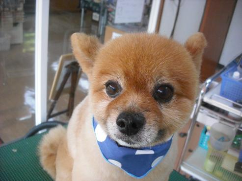 ファイル 1844-1.jpg