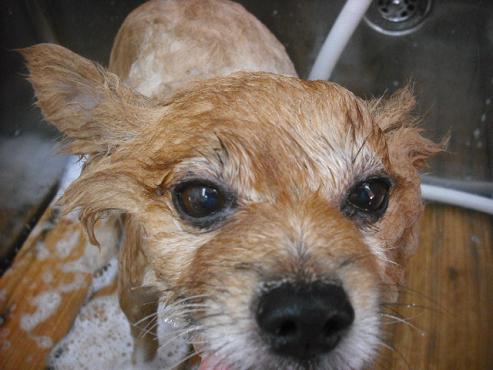 ファイル 1844-2.jpg