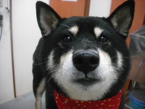 ファイル 1845-2.jpg