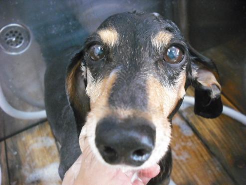 ファイル 1846-2.jpg