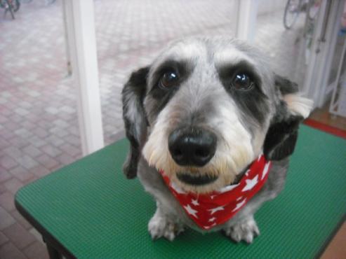 ファイル 1847-1.jpg