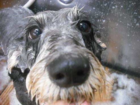 ファイル 1847-2.jpg