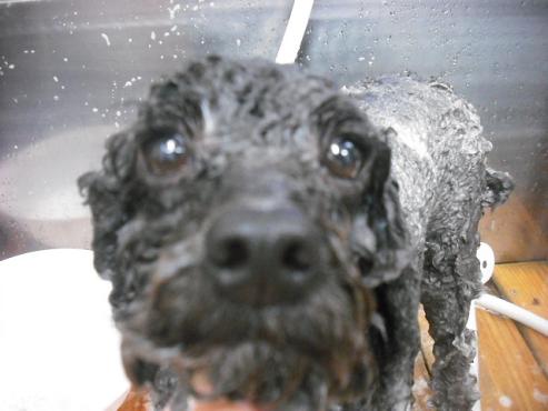 ファイル 1848-2.jpg