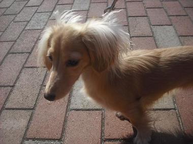 ファイル 1849-2.jpg