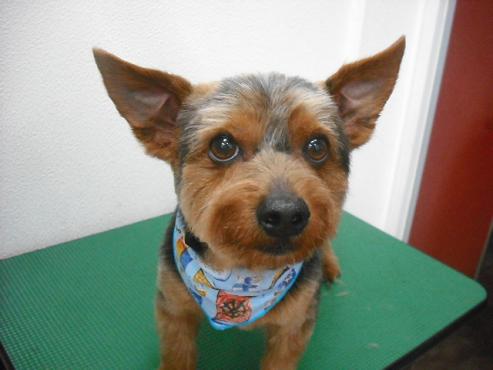 ファイル 185-1.jpg