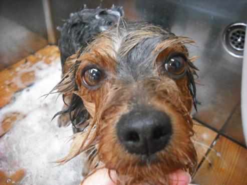 ファイル 185-2.jpg