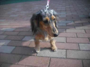 ファイル 1850-1.jpg