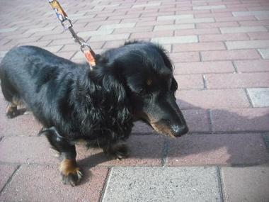 ファイル 1850-2.jpg