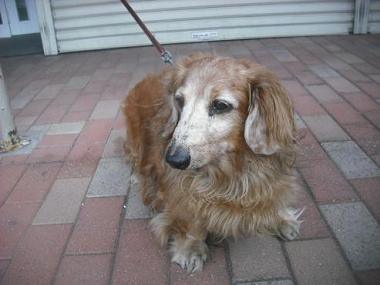 ファイル 1851-1.jpg