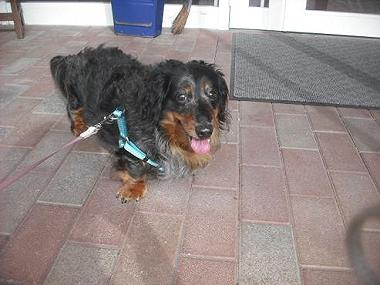 ファイル 1851-2.jpg