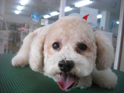 ファイル 1852-1.jpg