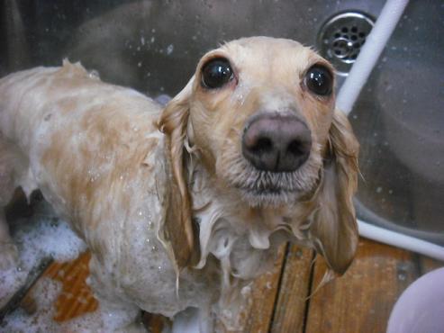 ファイル 1854-2.jpg