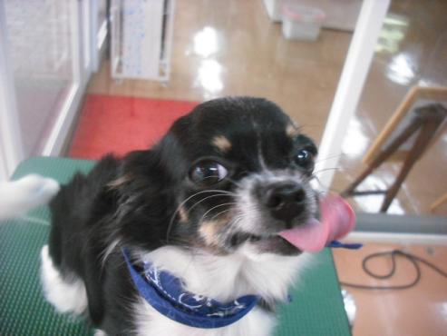 ファイル 1856-2.jpg