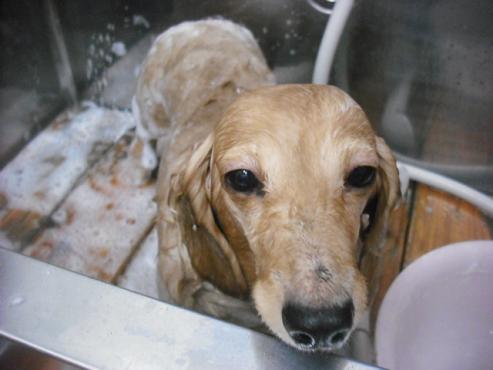 ファイル 1857-2.jpg