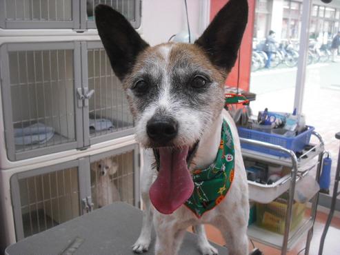 ファイル 1858-1.jpg