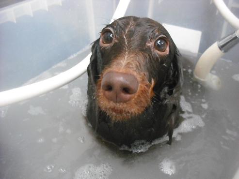 ファイル 1859-2.jpg