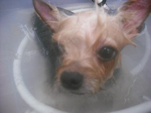 ファイル 186-2.jpg