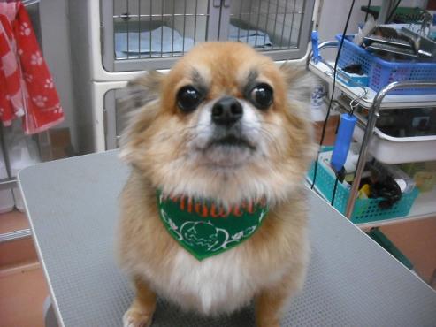 ファイル 1860-1.jpg