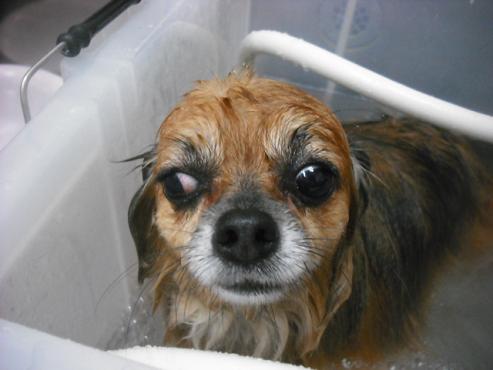 ファイル 1860-2.jpg