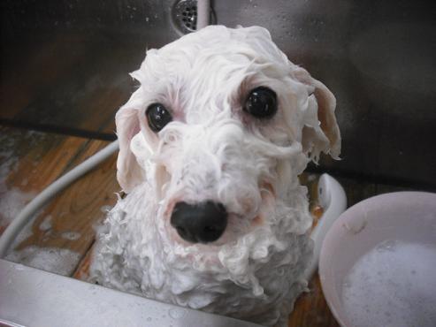 ファイル 1861-2.jpg