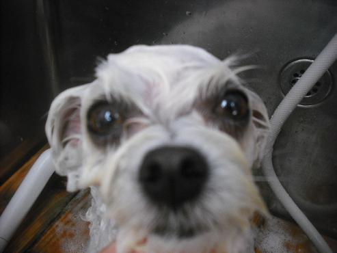 ファイル 1862-2.jpg