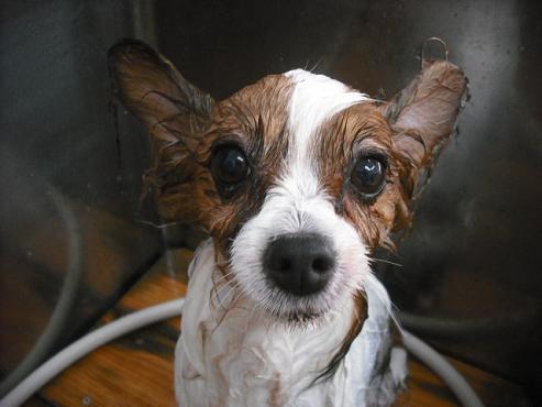 ファイル 1864-2.jpg