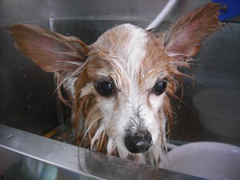 ファイル 1865-2.jpg