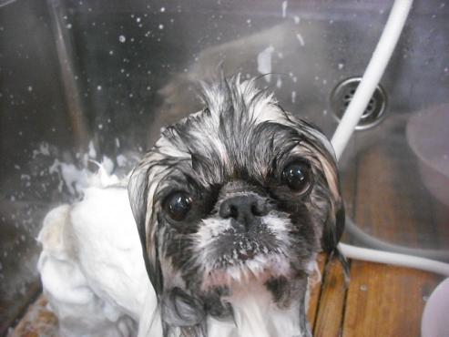 ファイル 1869-2.jpg