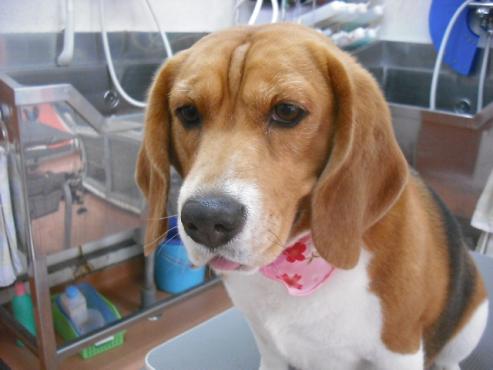 ファイル 187-1.jpg