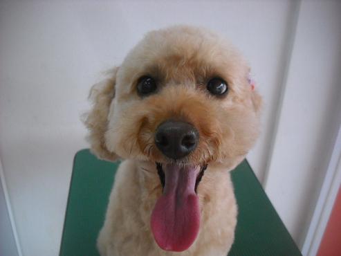 ファイル 1871-1.jpg